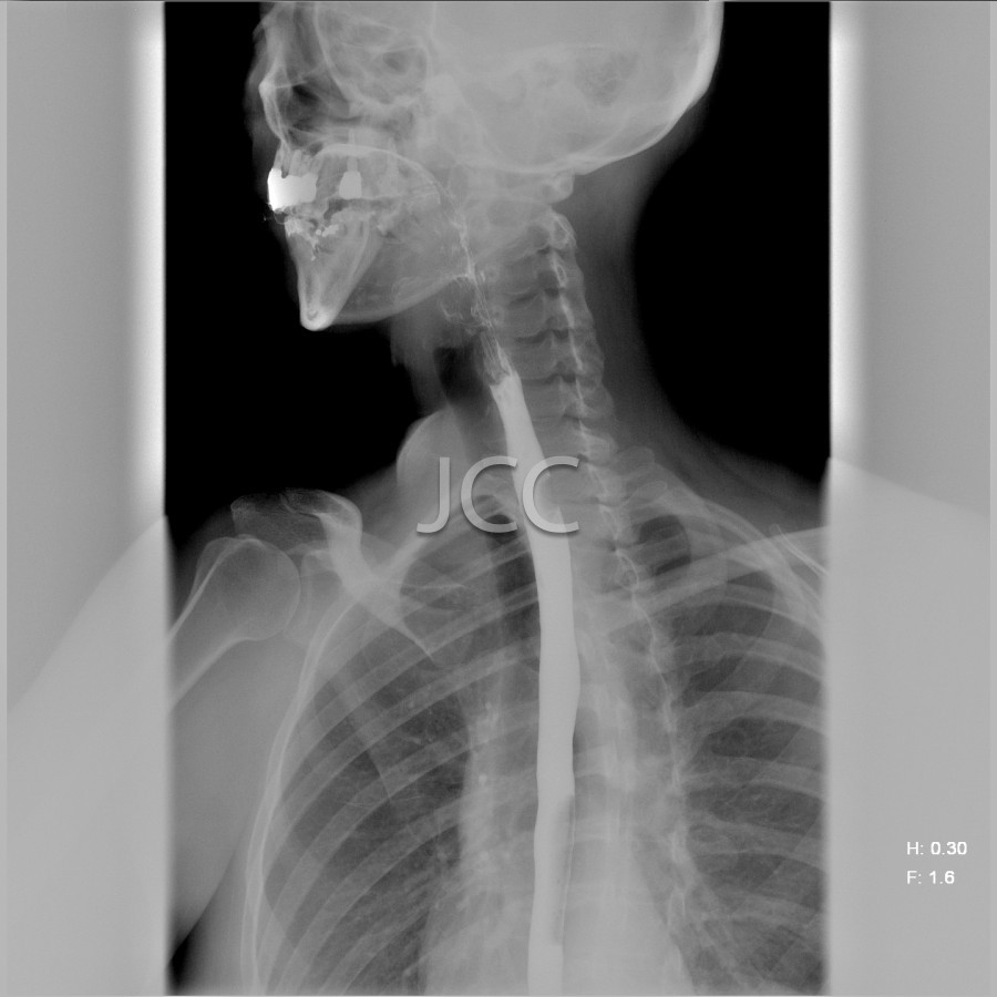 jcc_im_0028_0001.jpg