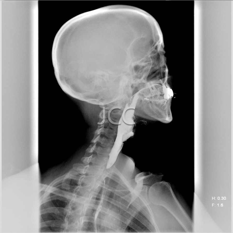jcc_im_0029_0001.jpg