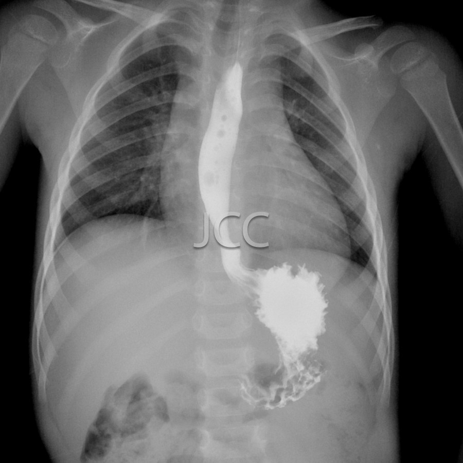 jcc_im_0037_0001.jpg