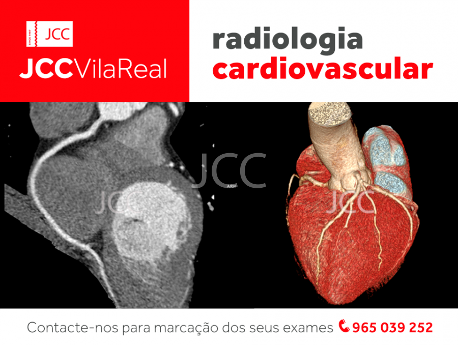 jcc_vrcardio.png